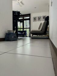 Chancery Lane (D11), Terrace #448229091